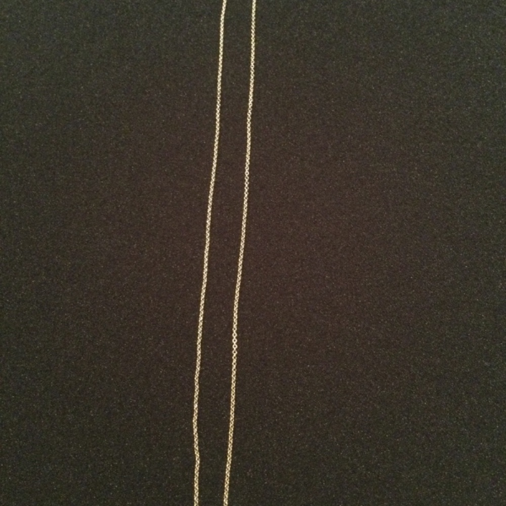 Dogeared Necklace - Picture 3 of 3